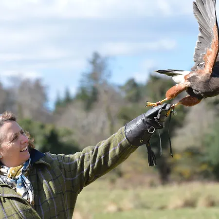 מלון Sheen Falls 5*