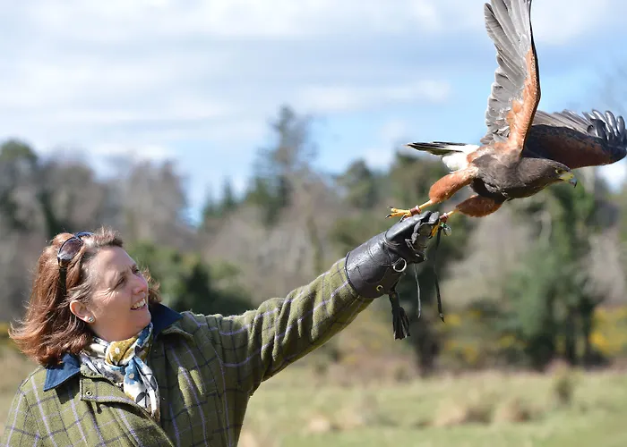 Отель Sheen Falls 5*