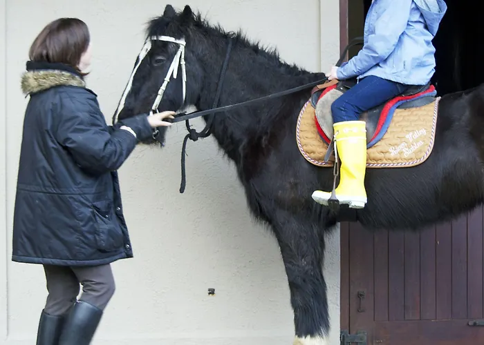 Sheen Falls Кенмар